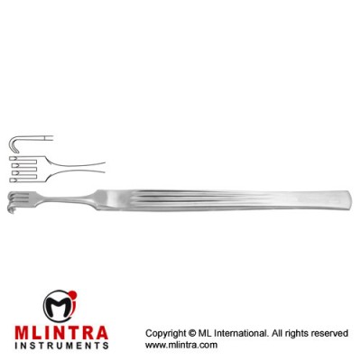 Cottle Alar Hook 4 Semi Sharp Prongs Stainless Steel, 14 cm - 5 1/2"